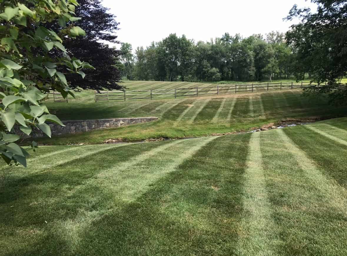 Lawn Mowing image