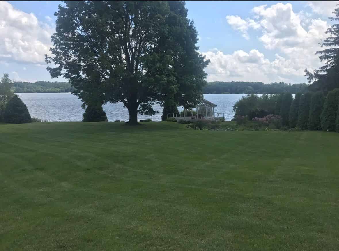 Small Tree Services image