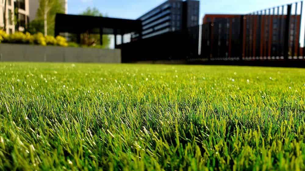 Lawn Fertilization image