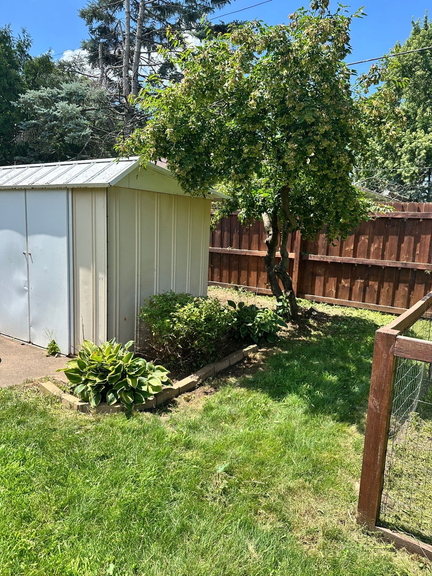 Gallery photos for Revive Your Lawn with Expert Landscaping: Image #4