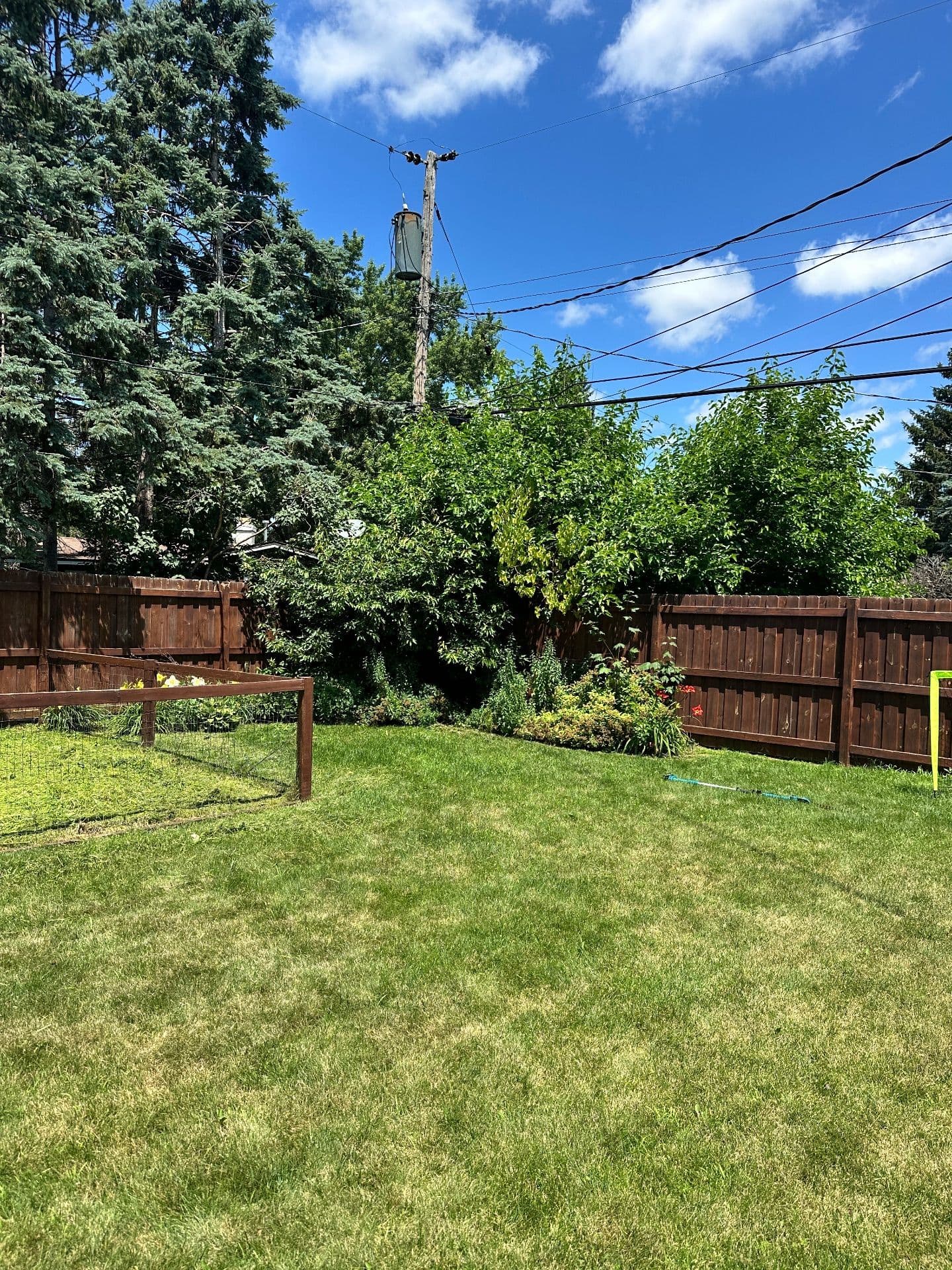 Gallery photos for Revive Your Lawn with Expert Landscaping: Image #3