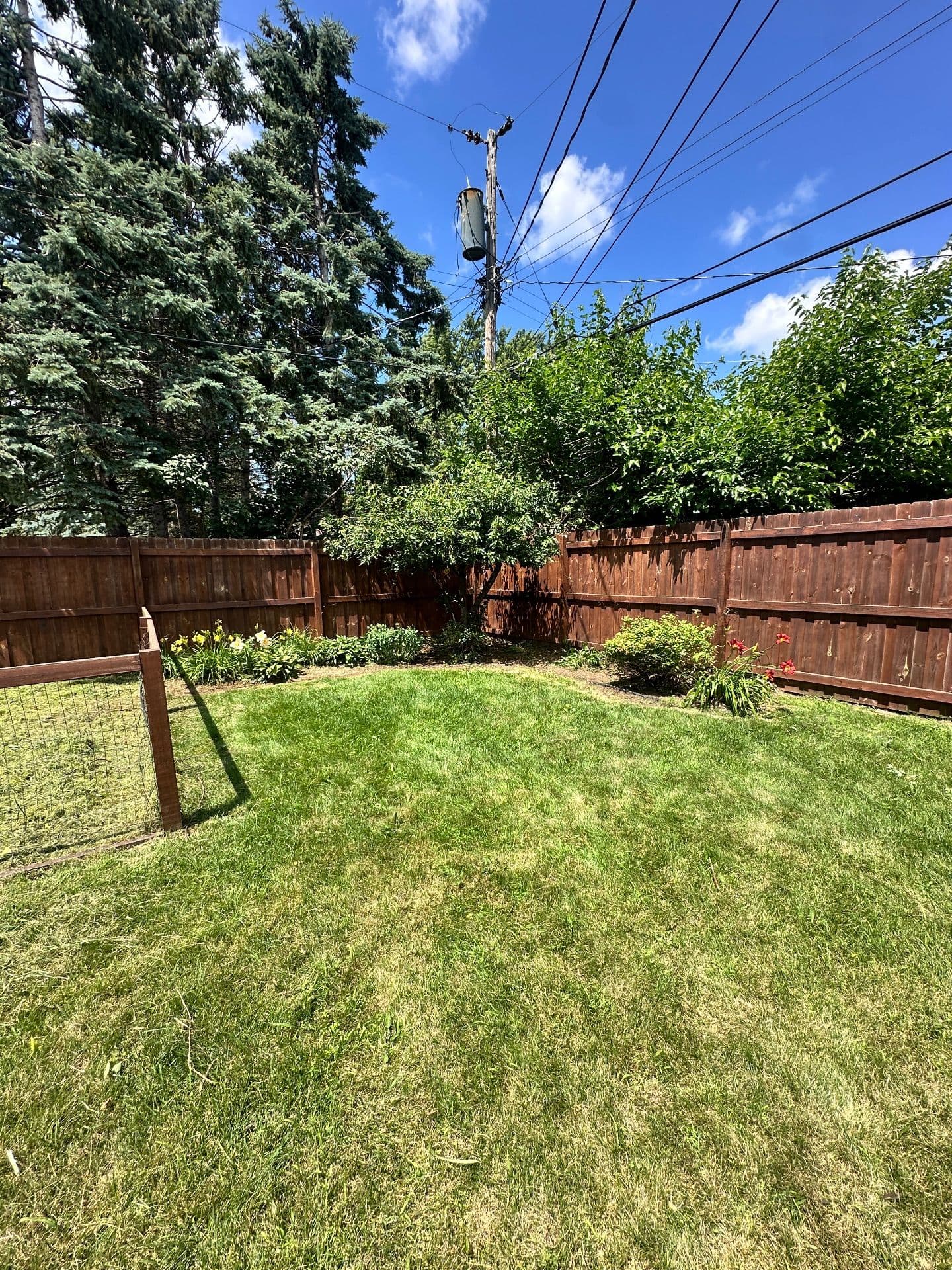 Gallery photos for Revive Your Lawn with Expert Landscaping: Image #6