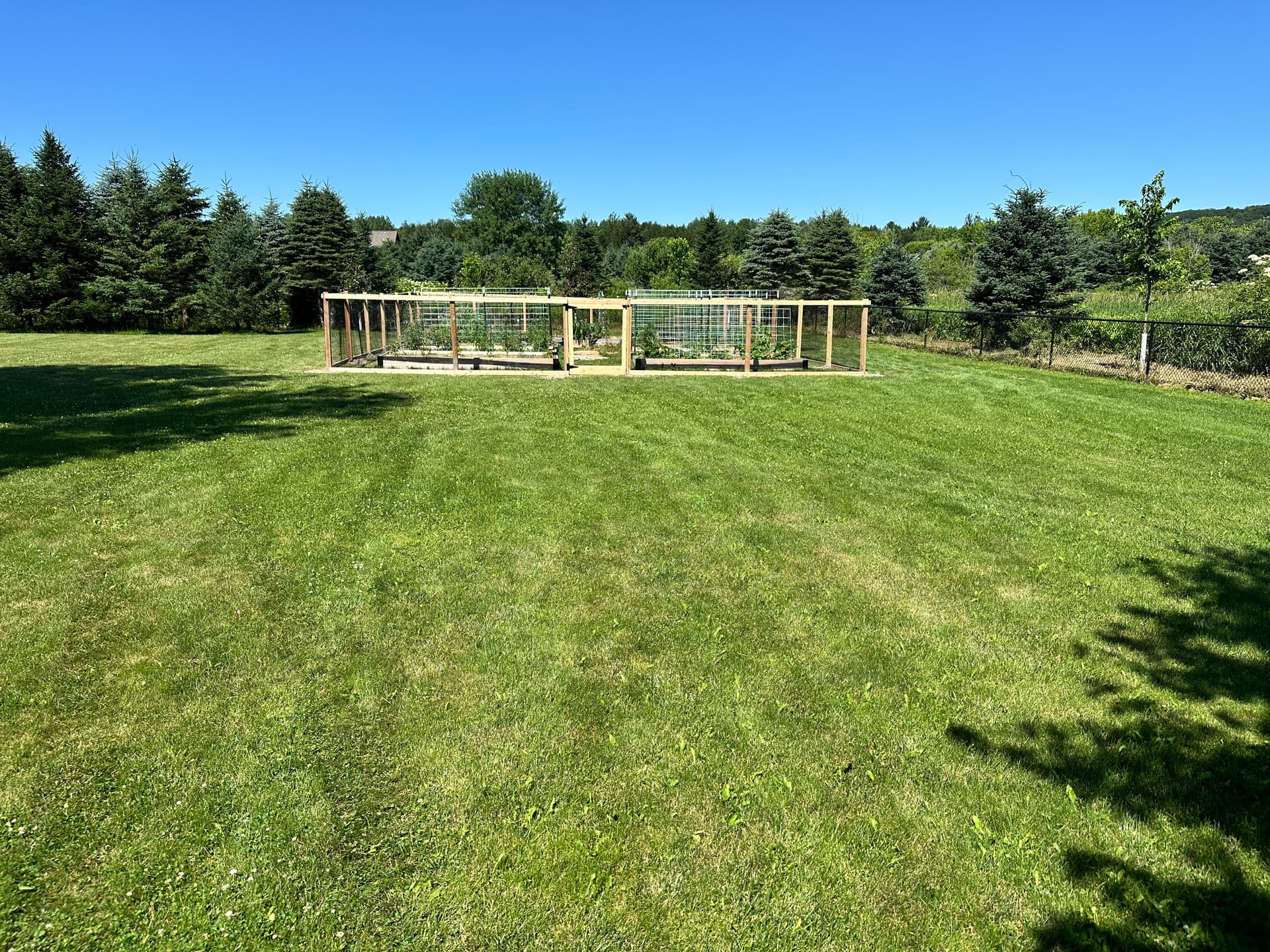 Gravel Path Upgrade Completes This Raised Bed Garden image