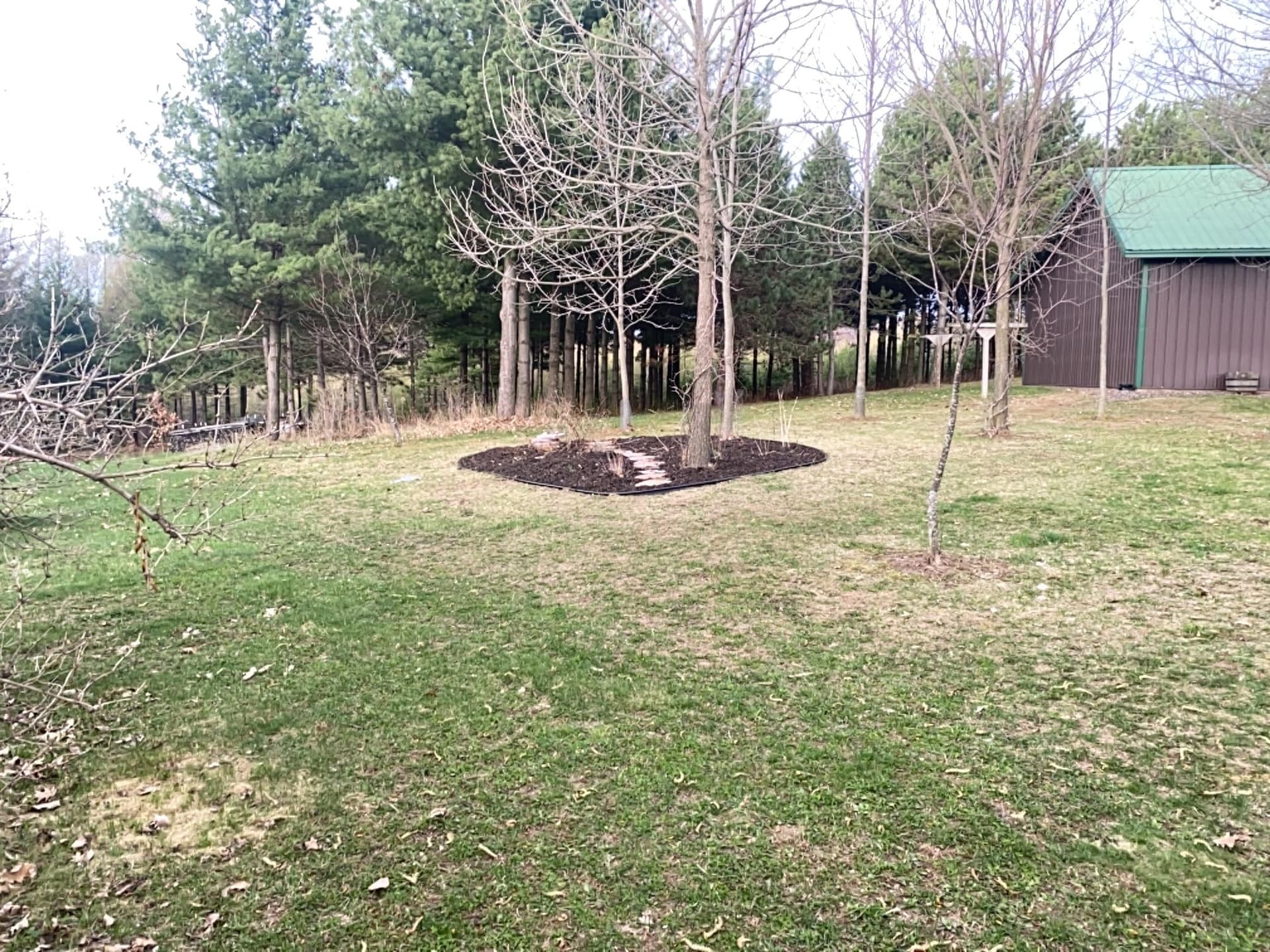 Gallery photos for Fresh Mulch, Clean Edging, and a New Machine Joining the Fleet: Image #2