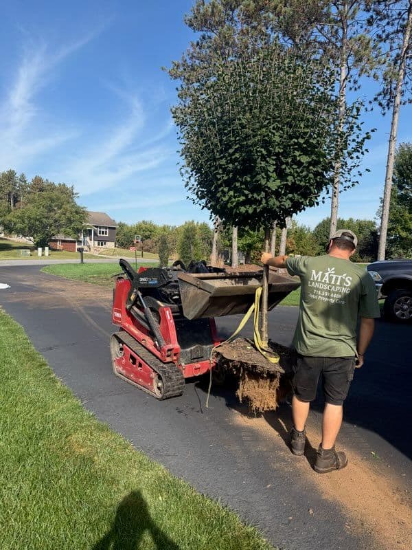 Durand Yard Garden Transformation with New Elements