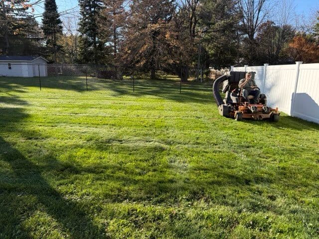 Project Fall Lawn Care and Leaf Removal image