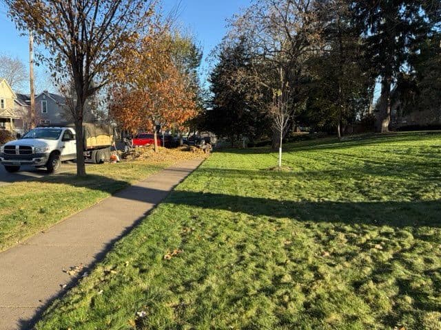 Project Fall Clean-Up Services in Full Swing image