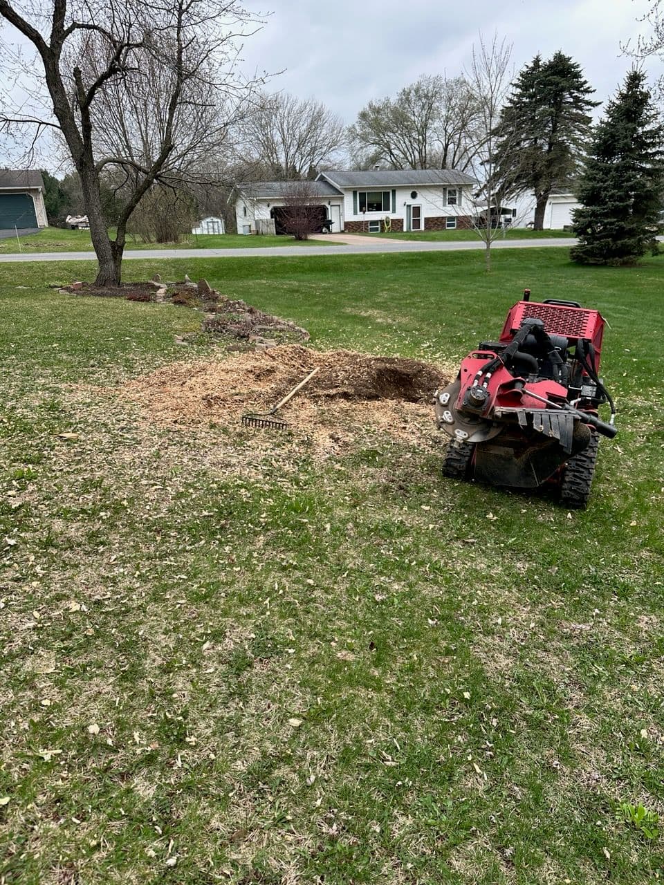 Effortless Stump Removal in Eau Claire