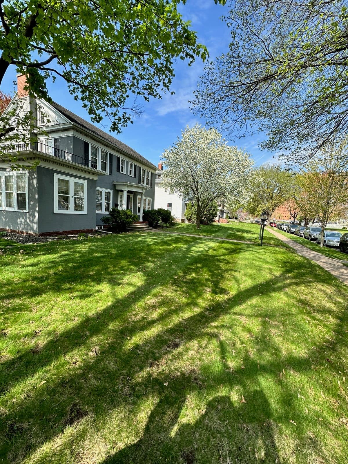 Project Spring Lawn Transformation in Eau Claire image