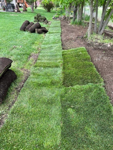 Project Transform Your Yard with Fresh Sod Installation image