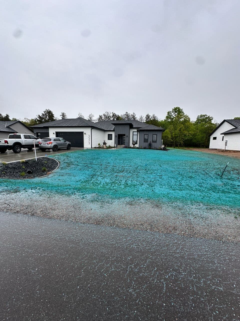 Revamp Your Lawn with Hydroseeding Mastery image