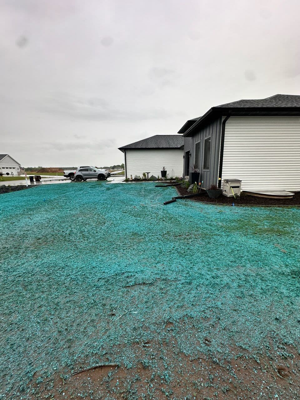 Gallery photos for Revamp Your Lawn with Hydroseeding Mastery: Image #1