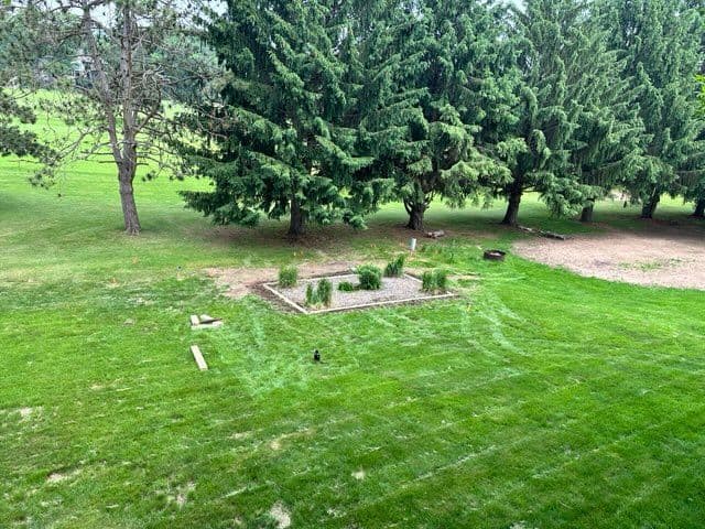 Gallery photos for Garden Makeover with Fresh Wooden Edges: Image #3
