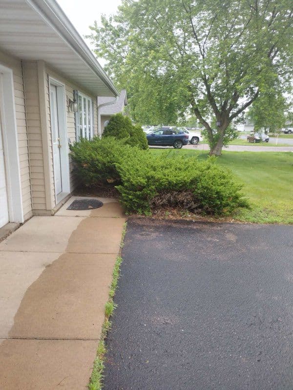 Vibrant Front Yard Transformation with Spirea image
