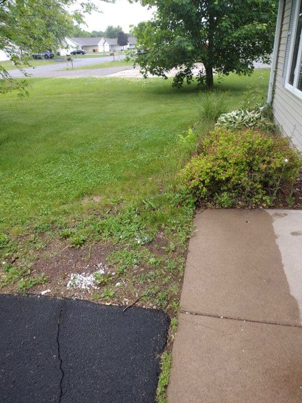 Gallery photos for Vibrant Front Yard Transformation with Spirea: Image #1