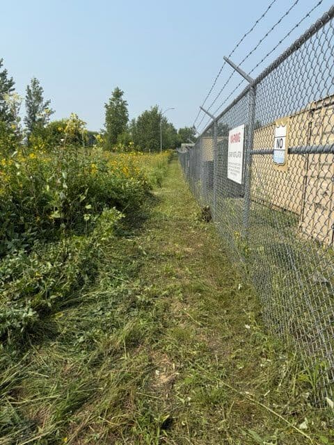 Gallery photos for Chippewa Valley Landscaping Transformation: Image #1
