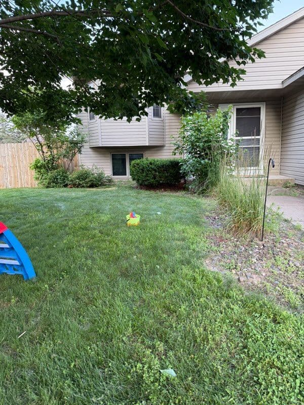 Stunning Lawn Transformation with Professional Touch image
