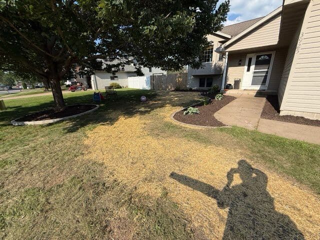Gallery photos for Stunning Lawn Transformation with Professional Touch: Image #1