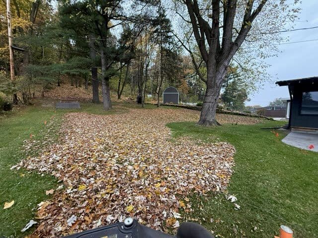 Gallery photos for Fall Lawn Care and Leaf Removal: Image #1